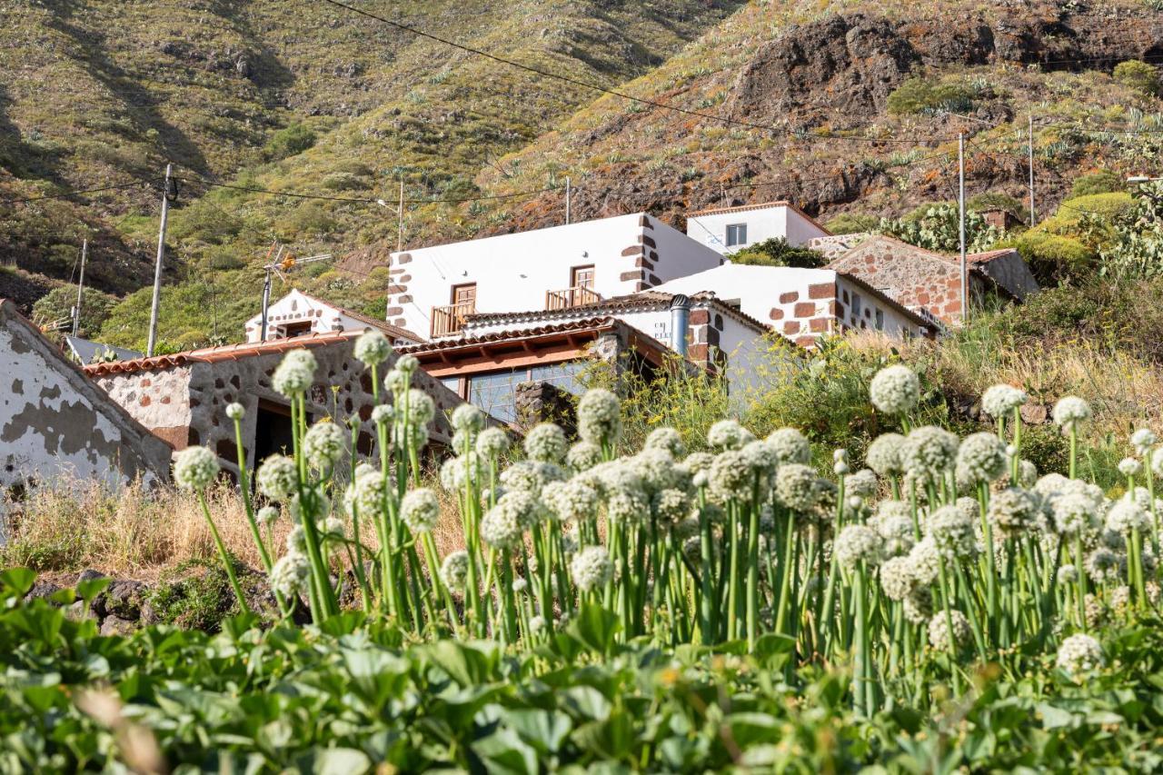 Home2Book Nature Carrizales And Masca House & Wifi Буенавіста-дель-Норте Екстер'єр фото